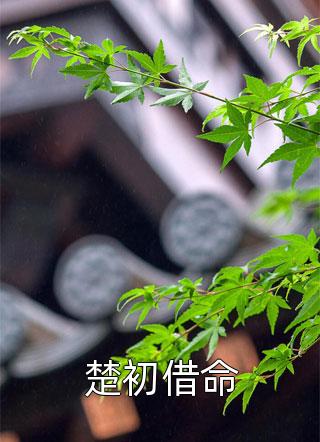 黎窈灼萧寒渊全集精品小说